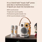Divoom Spark-Pro Bluetooth Portable Karaoke Speaker - Image 8